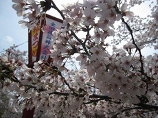 s2015.4.21 3.jpg